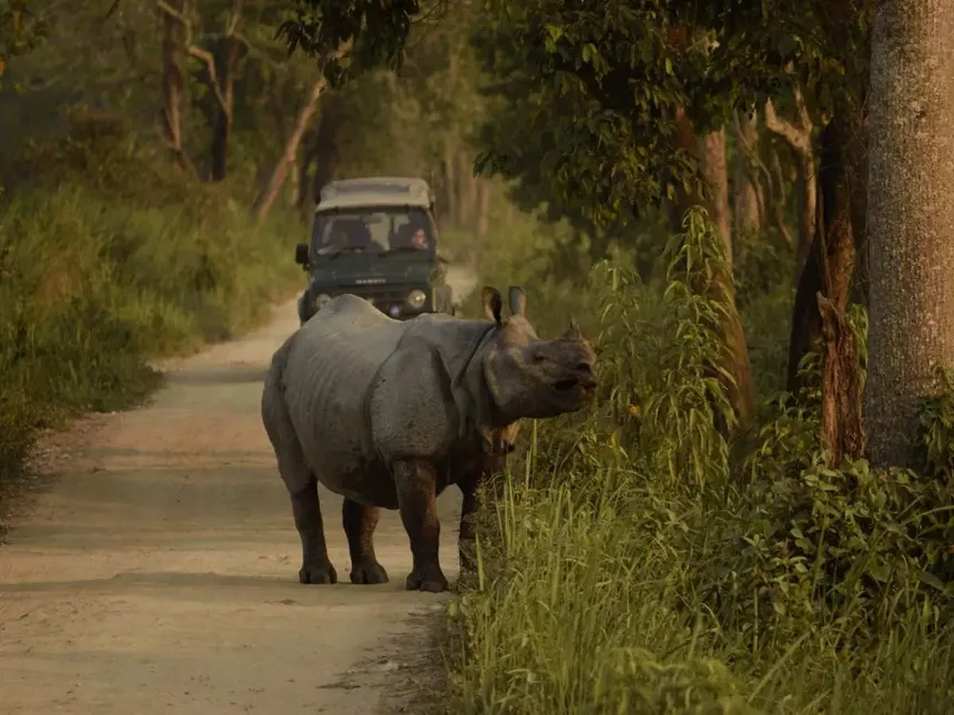 Kaziranga National Park - UNESCO World Heritage Site