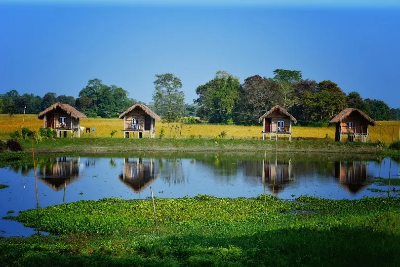 Majuli - World's largest river island