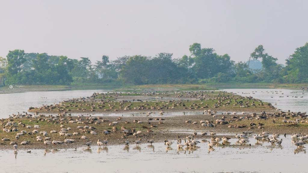 Wildlife and Biodiversity